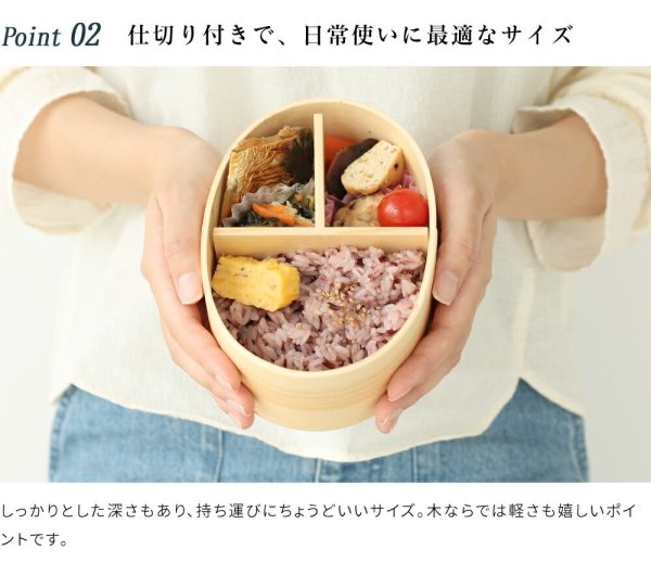 画像6: 曲げわっぱ 弁当箱 我が家のネコちゃんシリーズ スコティッシュフォールド (6)