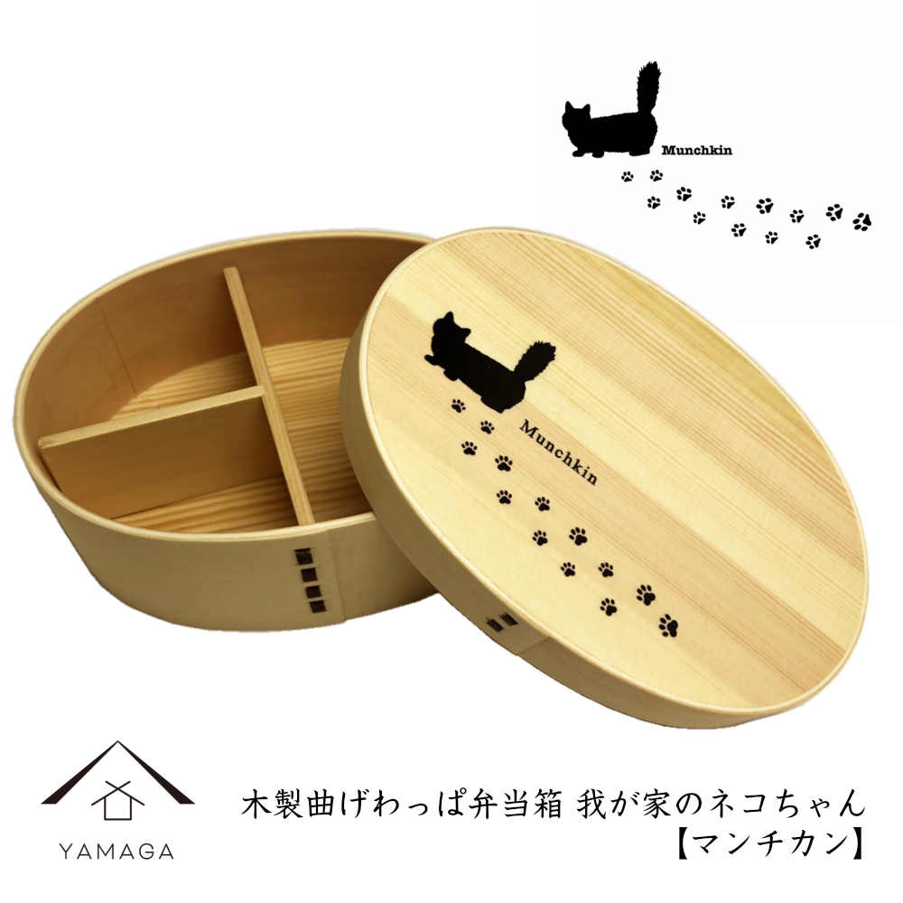 曲げわっぱ 弁当箱 我が家のネコちゃんシリーズ マンチカン