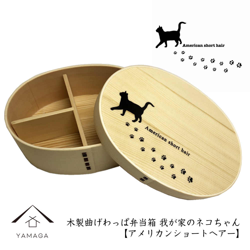 曲げわっぱ 弁当箱 我が家のネコちゃんシリーズ アメリカンショートヘアー