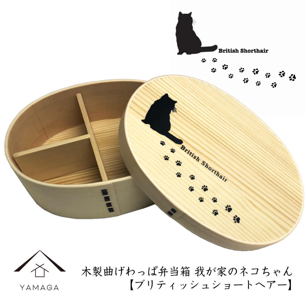 曲げわっぱ 弁当箱 我が家のネコちゃんシリーズ ブリティッシュショートヘアー