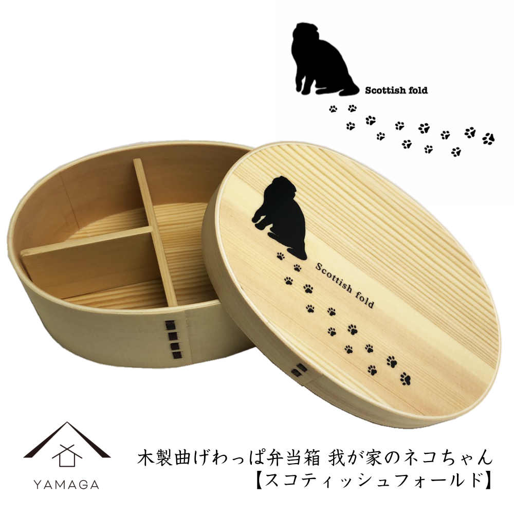 曲げわっぱ 弁当箱 我が家のネコちゃんシリーズ スコティッシュフォールド